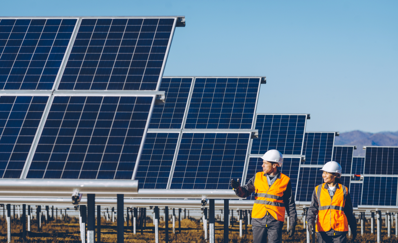 Utility-Grade Solar PV & BESS
